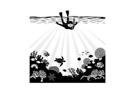 Silhouette of scuba diver exploring coral reef with sea turtle