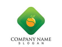 Orange logo design Vector icon illustration design