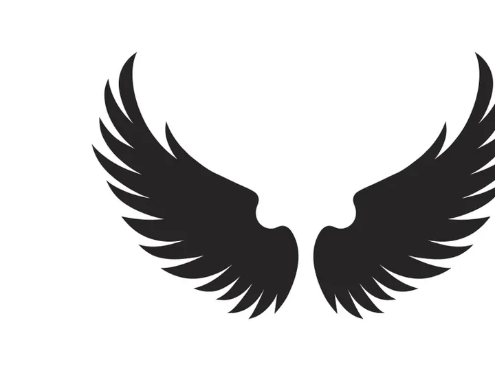 black bird wing logo vector