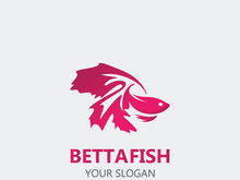 Betta fish modern logo style design vector image illustration