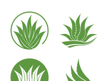 Aloe Vera logo icon design symbol beauty skin care