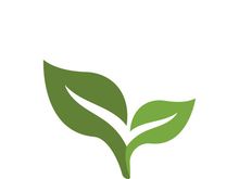 Logos of green tree leaf ecology nature element vector