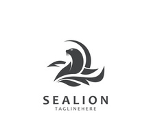 Sea lion mammal logo design animal sea illustration template