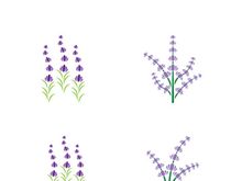 Lavender flower vector icon illustration design template