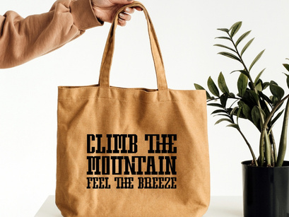 Mountain Vector - Vintage Slab Serif
