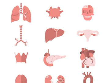 23 Human Anatomy Icons preview picture