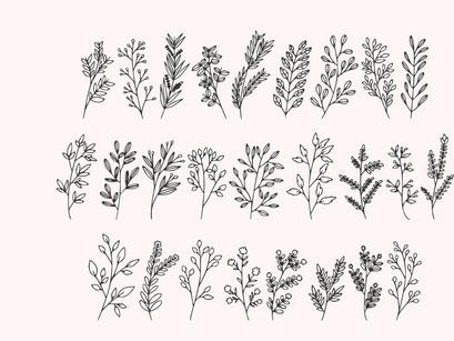 Branch - Botanical Dingbat Font
