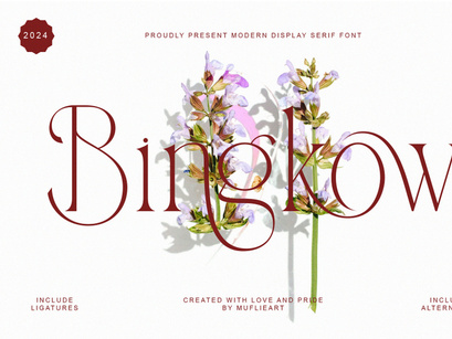 Bingkow modern display serif