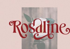 Costa Nova || Modern Ligature serif