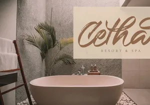 Western - Handbrush Script Font
