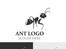Ant logo design silhouette. Isolated animal ants on background design template vector