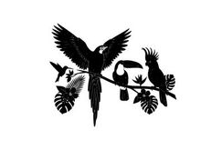 Tropical bird silhouette with exotic leaves and colorful avian friends silhouette