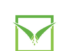 Aloe Vera logo icon design symbol beauty skin care