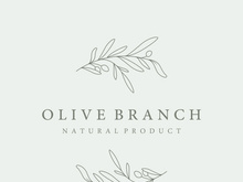 Hand drawn Botanical logo,leaf and natural olive fruit .Herbal, olive oil,cosmetic or beauty.