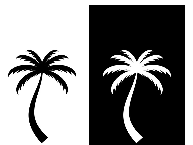 Palm tree summer logo design with creative ideas.