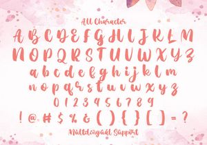 Agil Script - Handwritten Font