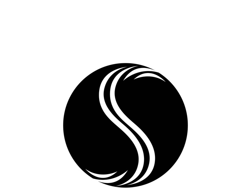 Business corporate S letter logo