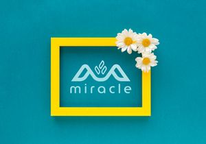 Beauty Logo Design