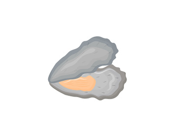 Opened oyster shell cartoon vector illustration preview picture