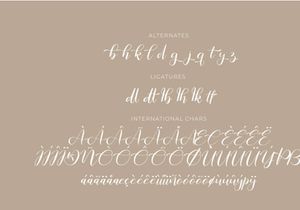 Raghide Script Font
