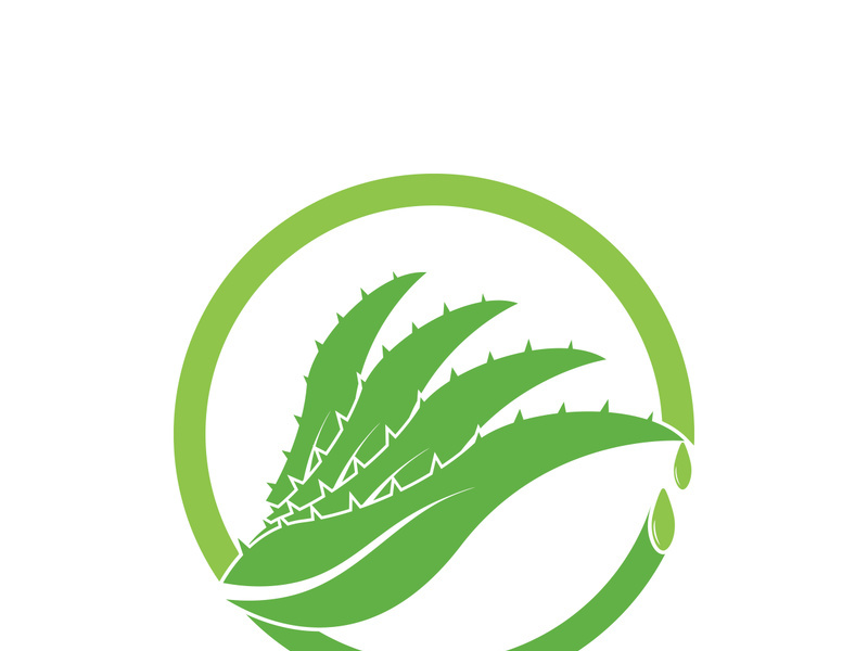 Aloe Vera logo icon design symbol beauty skin care