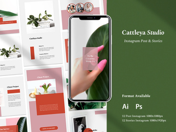 Instagram Template - Cattleya Studio preview picture