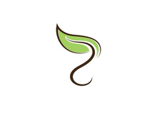 Green leaf logo  Nature icon design