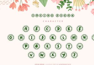 Spring Break - Decorative Display Font