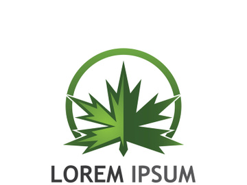 Maple leaf logo design with creative idea preview picture