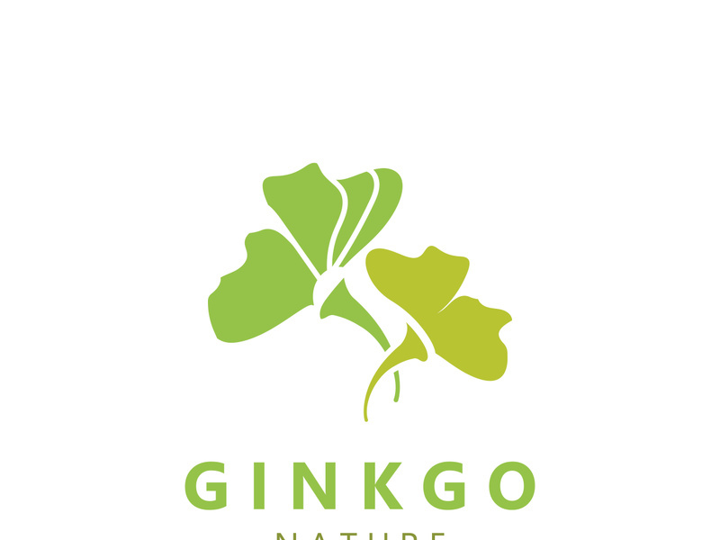 Ginkgo leaf biloba logo nature. Healthy ingredient that is used in medicine for disease treatment with line art style design