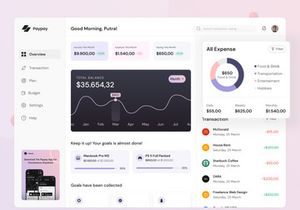 Paypay - Money Management Mobile and Saas App