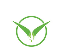Aloe Vera logo icon design symbol beauty skin care