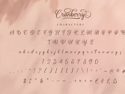 Cranberry - Modern Script Font
