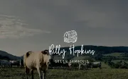 Wildy Sign Signature Font