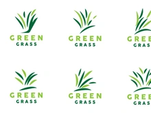 Green Grass Logo, Nature Plant Vector