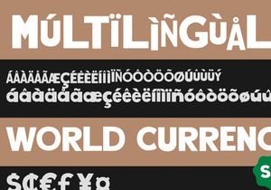 Stray Sans - Quirky Sans Typeface