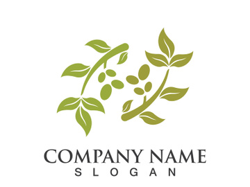 Extra virgin olive oil logo icon design vector illustration preview picture