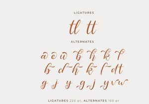 Ricadya | Handwriting Font