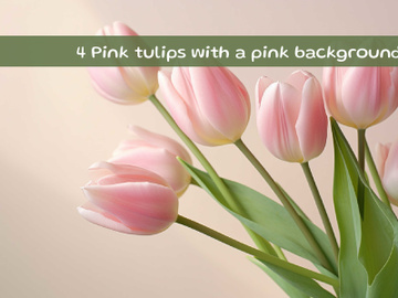 Pink tulips with a pink background preview picture