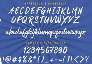 Rezojas - Bold Script Font