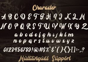 Rayhue - Retro Bold Script Font