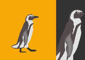 Animal Illustration Bundle