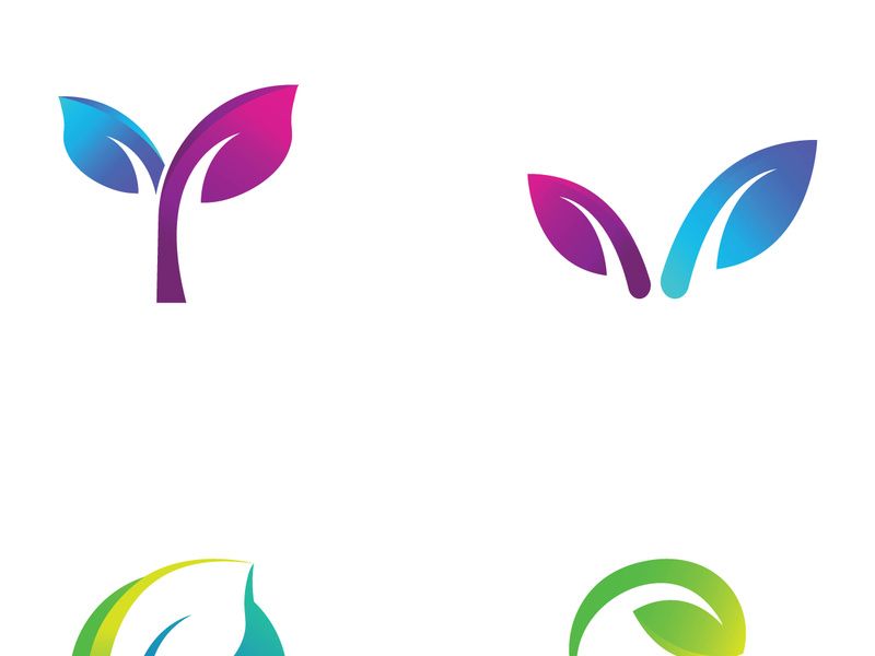 Colorful natural leaf logo design.
