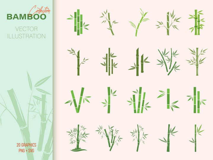 Set of bamboo leaf, panda food leaves collection.