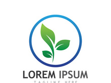 Natural green leaf logo.