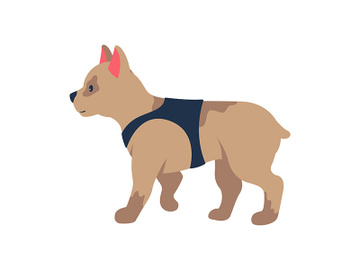 Adopting french bulldog puppy semi flat color vector character preview picture