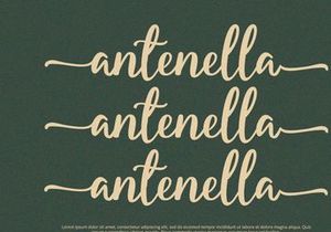 Starella - Script Font