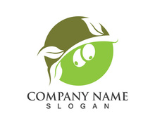 Extra virgin olive oil logo icon design vector illustration