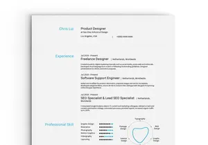 Swiss Design CV/Resume Template