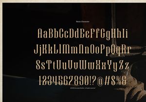 Rourque Hollowrail | Vintage Modern Serif